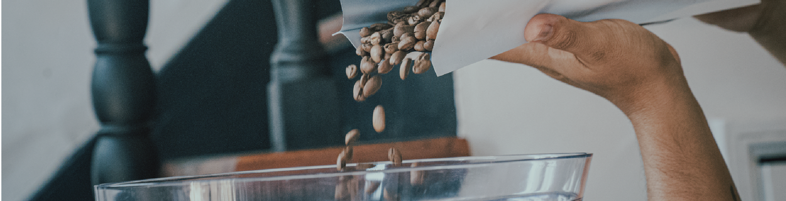 Servicios para Cafeterías
